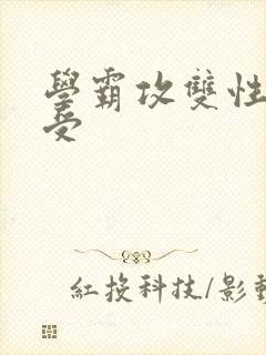 学霸攻双性校霸受