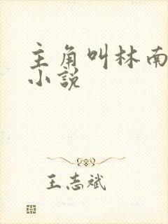 主角叫林南都市小说