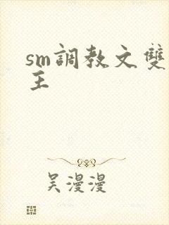 sm调教文双男主封面