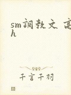 sm调教文 高h