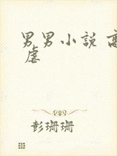 男男小说 高h 虐