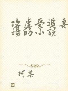 攻虐受追妻火葬场的小说