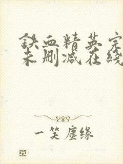 铁血精英完整版未删减在线免费观看