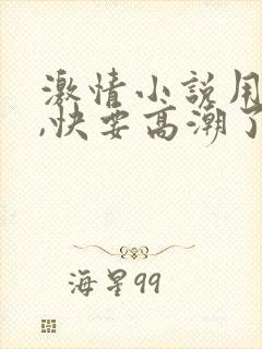 激情小说用力插,快要高潮了封面