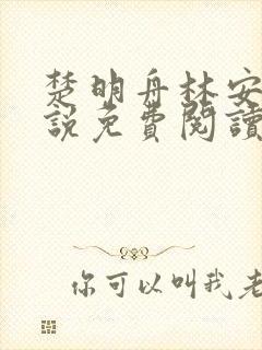 楚明舟林安安小说免费阅读无弹窗