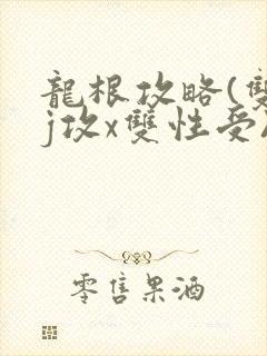 龙根攻略(双jj攻x双性受)