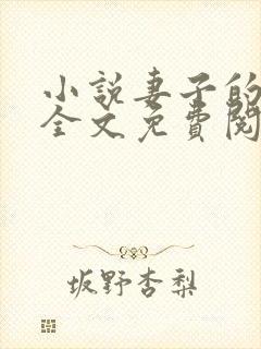 小说妻子的秘密全文免费阅读全文封面