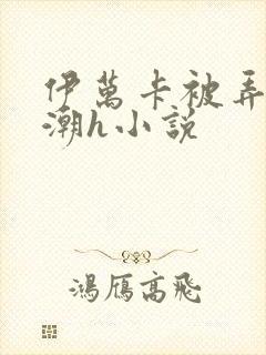 伊万卡被弄到高潮h小说