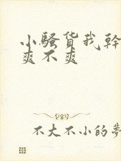 小骚货我干的你爽不爽封面