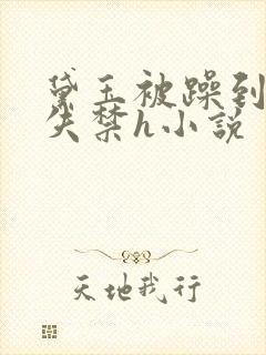 黛玉被躁到高潮失禁h小说封面