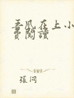 吾凰在上小说免费阅读