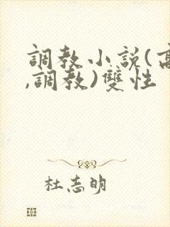 调教小说(高h,调教)双性