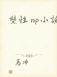 双性 np小说封面