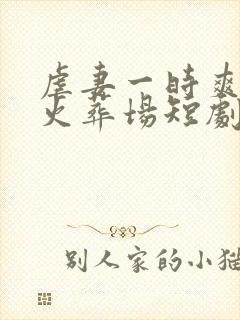 虐妻一时爽追妻火葬场短剧封面