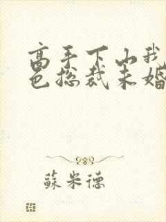 高手下山我的绝色总裁未婚妻封面