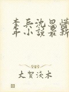 李兵沈思懵懂少年小说最新章节