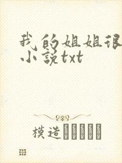 我的姐姐很弟控小说txt
