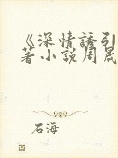 《深情诱引》原著小说周晟安结局