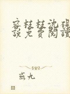 容枝枝沈砚书小说免费阅读无弹窗