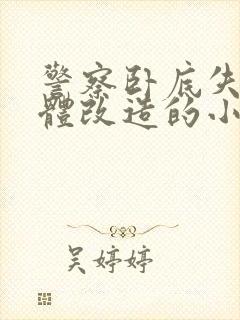 警察卧底失败女体改造的小说