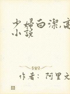 少妇白洁,高义小说