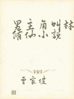 男主角叫林南的修仙小说