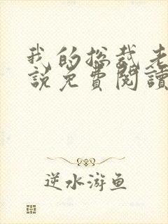 我的总裁老婆小说免费阅读