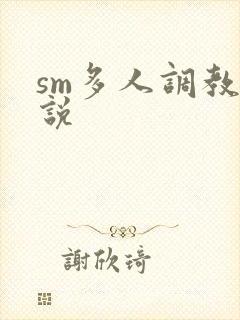 sm多人调教小说封面