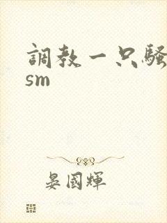 调教一只骚母狗sm