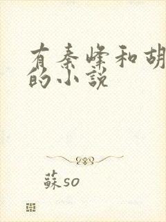 有秦峰和胡佳芸的小说封面