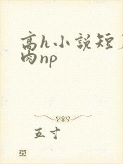 高h小说短篇纯肉np