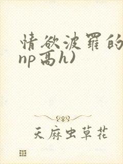 情欲波罗的海(np高h)