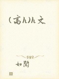 (高h)h文