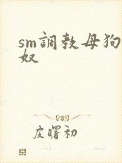 sm调教母狗女奴