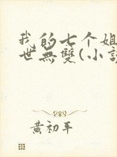 我的七个姐姐绝世无双(小说)封面