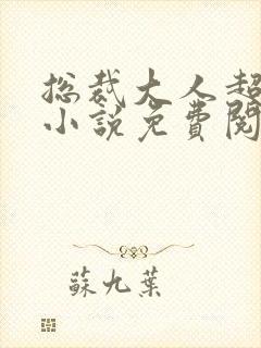 总裁大人超给力小说免费阅读