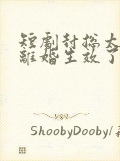 短剧封总太太的离婚生效了