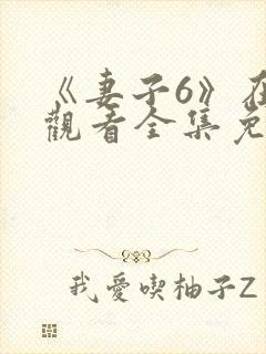 《妻子6》在线观看全集免费