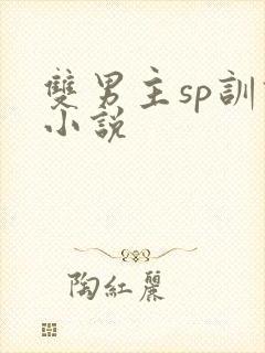 双男主sp训诫小说封面