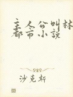 主人公叫林默的都市小说