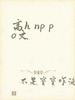 高h np po文