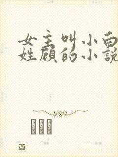 女主叫小白男主姓顾的小说