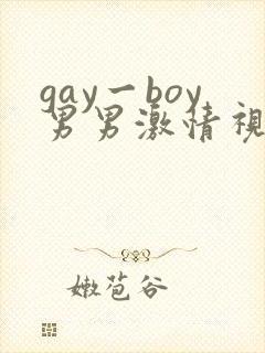 gay一boy男男激情视频