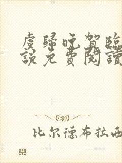 虞归晚贺临舟小说免费阅读最新章节