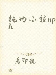 纯肉小说np高h