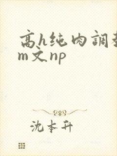 高h纯肉调教sm文np