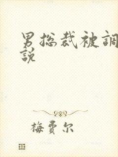 男总裁被调教小说