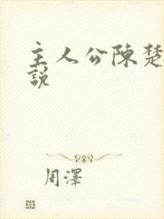 主人公陈楚的小说