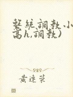 系统调教小说(高h,调教)