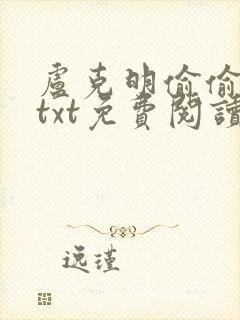 卢克明偷偷一笑txt免费阅读下载封面